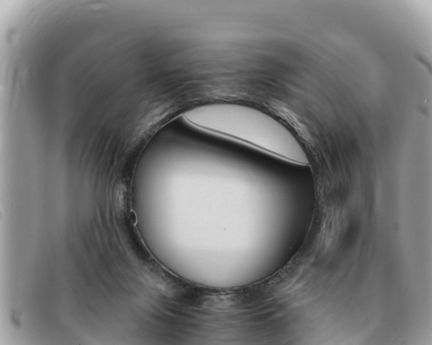 X0000091540071200708171018