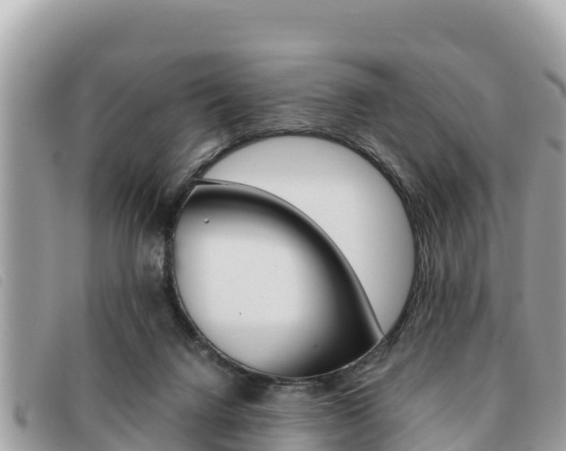 X0000091540072200708171018