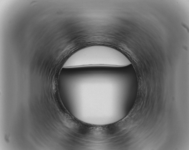 X0000091540074200708171018