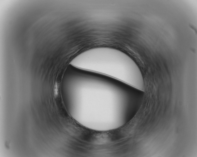 X0000091540075200708171018