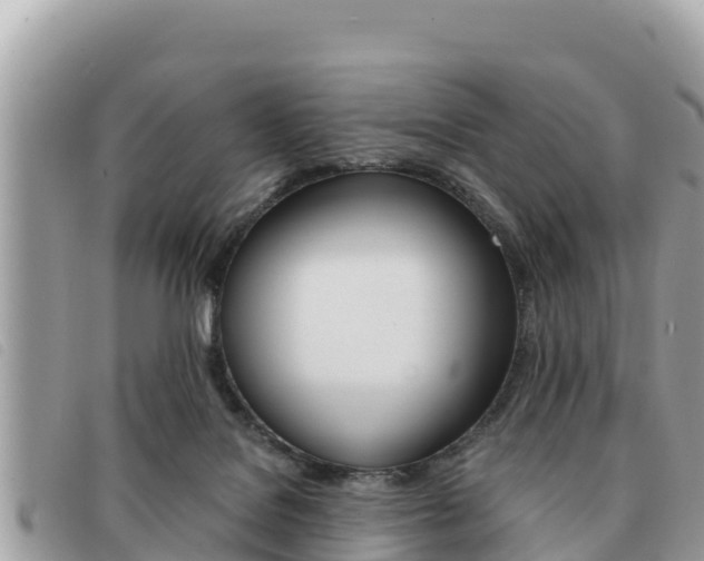 X0000091540076200708171018