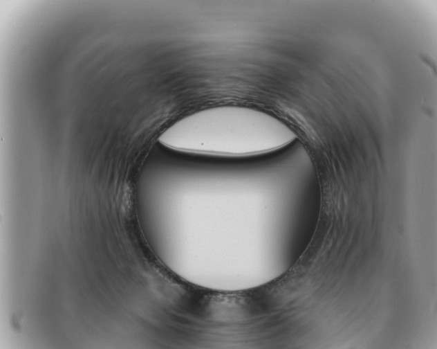X0000091540077200708171018