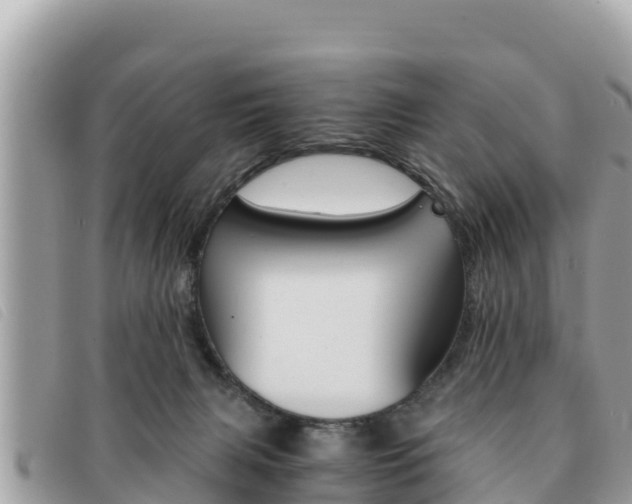 X0000091540079200708171019