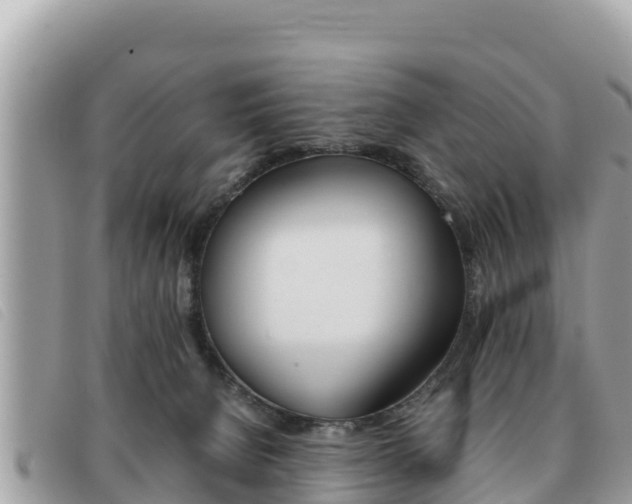X0000091540080200708171019