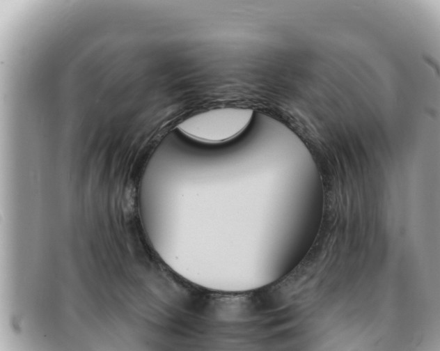 X0000091540081200708171019
