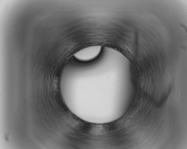 X0000091540083200708171019