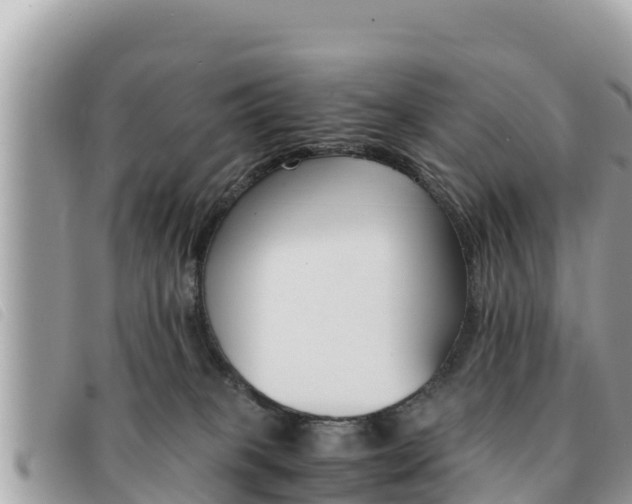 X0000091540085200708171019