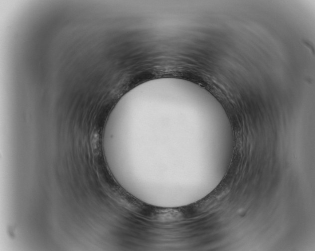 X0000091540087200708171019