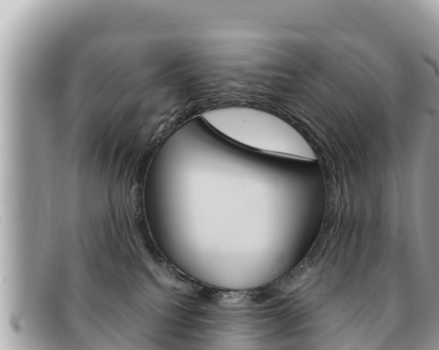 X0000091540088200708171019