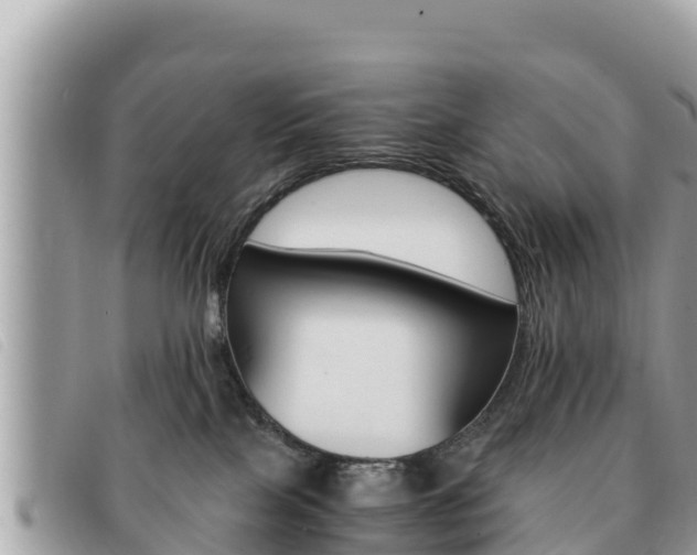 X0000091540089200708171019