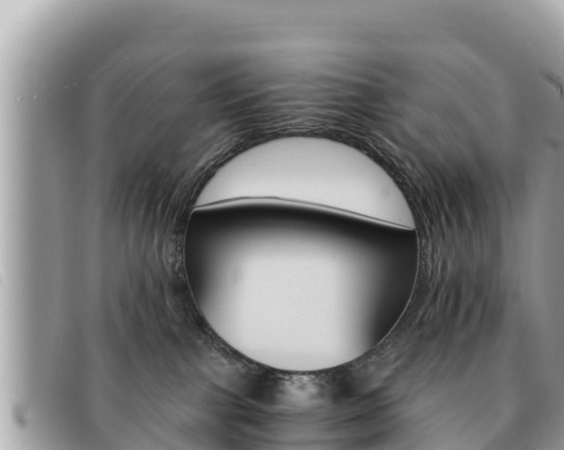 X0000091540091200708171019