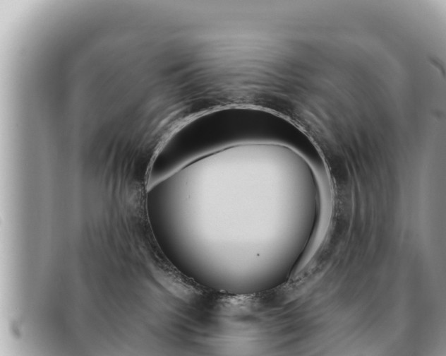 X0000091540092200708171019