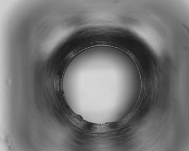 X0000091540093200708171019