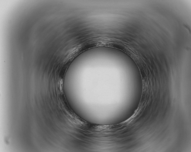 X0000091540094200708171019
