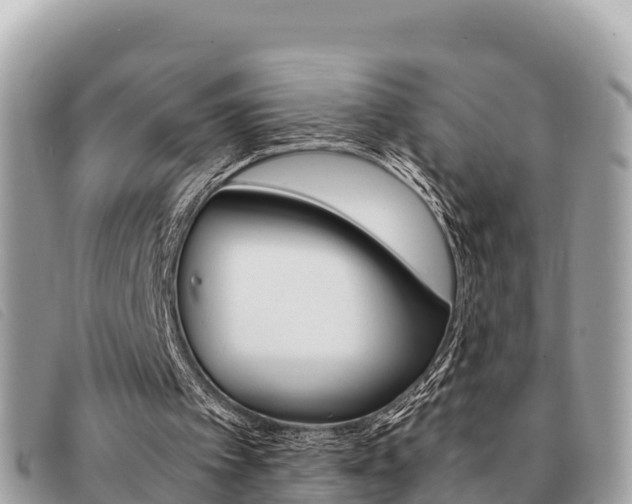 X0000091540097200708171018
