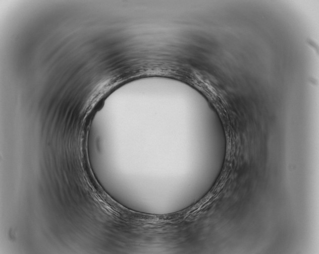 X0000091540098200708171018