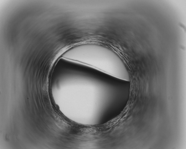 X0000091540100200708171018
