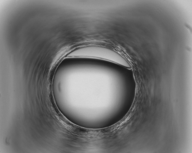 X0000091540101200708171018