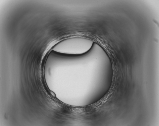 X0000091540102200708171018