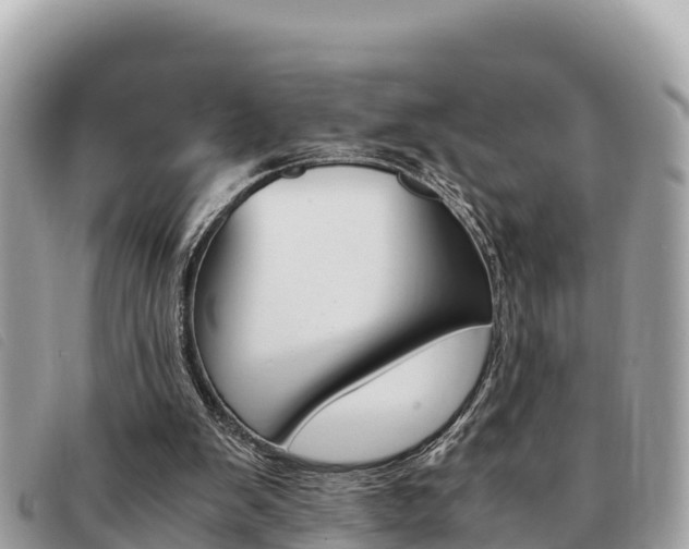 X0000091540103200708171018