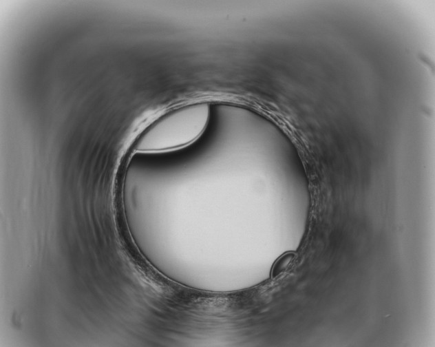 X0000091540104200708171018