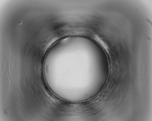 X0000091540107200708171018
