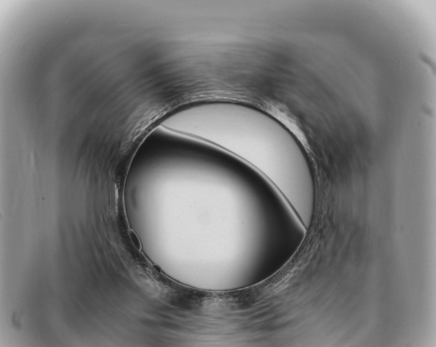 X0000091540109200708171018