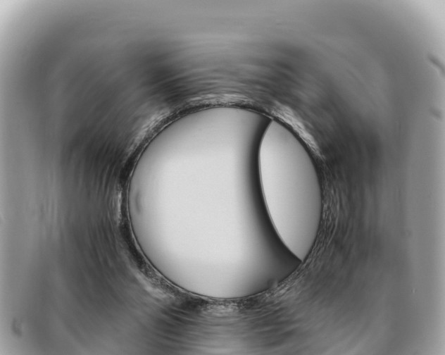 X0000091540110200708171018