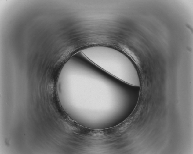X0000091540113200708171018