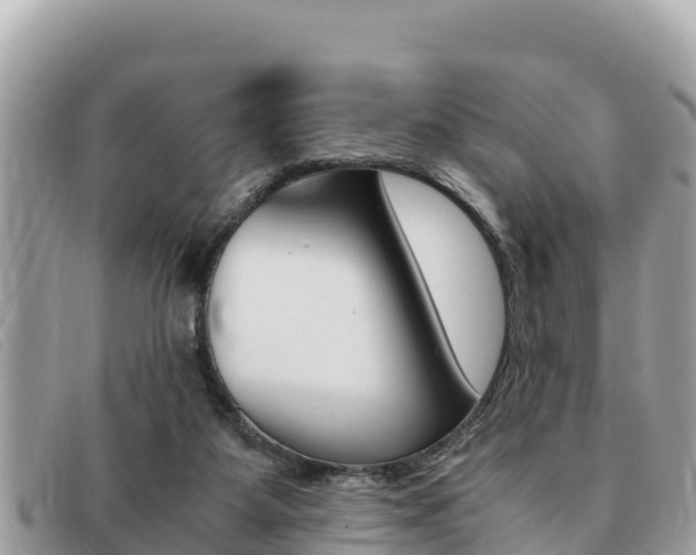 X0000091540115200708171018