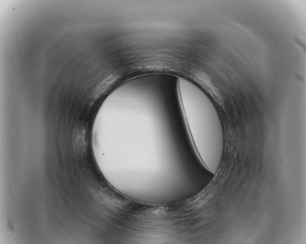 X0000091540116200708171018