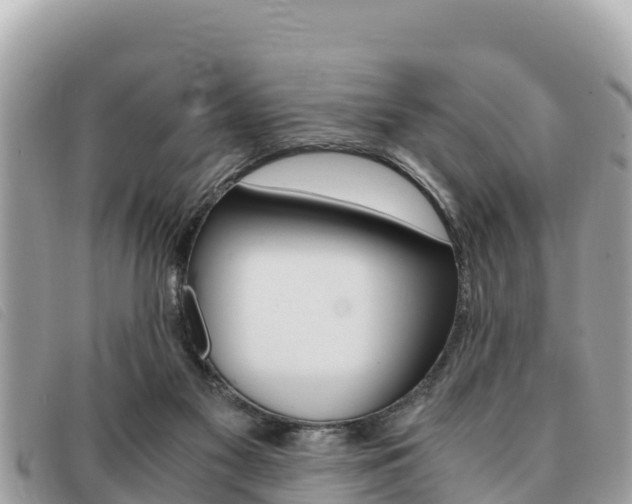 X0000091540117200708171018