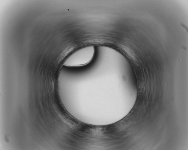 X0000091540120200708171018