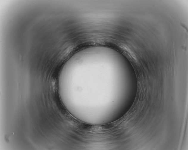 X0000091540123200708171018