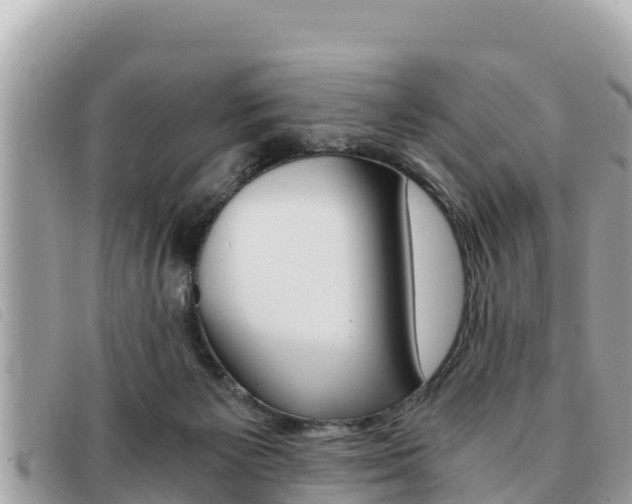 X0000091540125200708171018