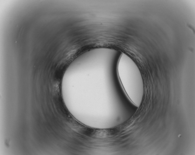 X0000091540127200708171018