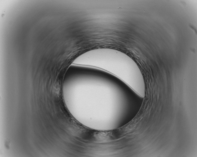 X0000091540129200708171018