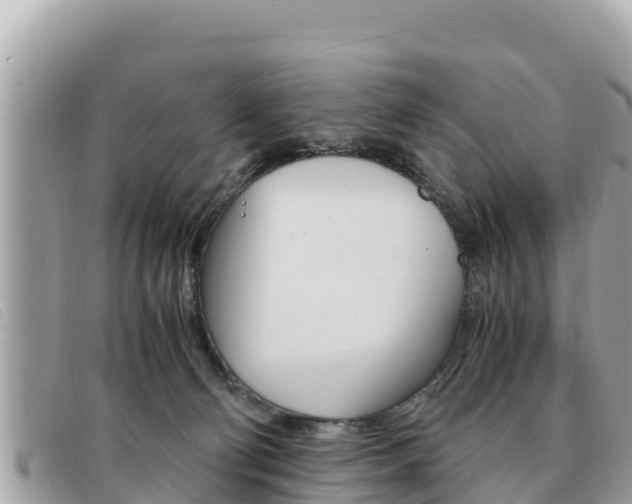 X0000091540130200708171018