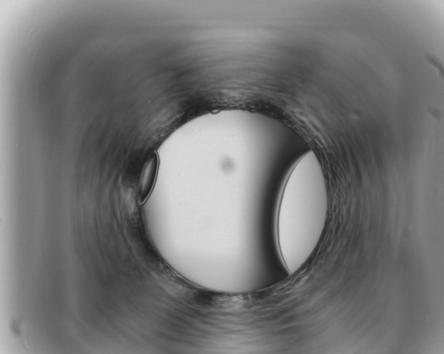 X0000091540131200708171018