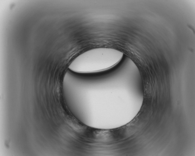 X0000091540132200708171018