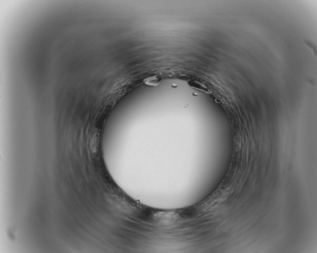 X0000091540133200708171018