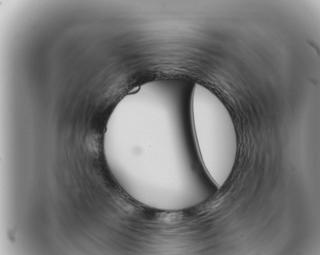 X0000091540135200708171018