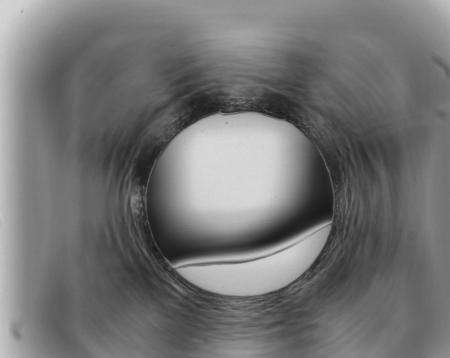 X0000091540137200708171018