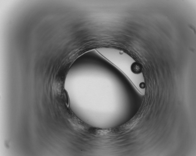 X0000091540139200708171018