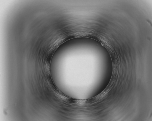 X0000091540143200708171018