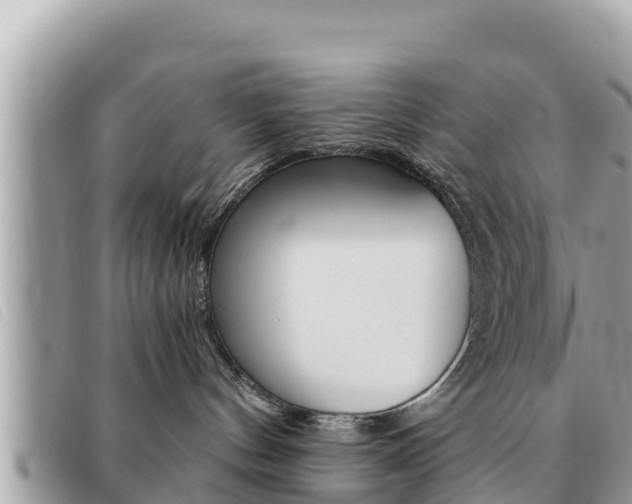 X0000091540144200708171018