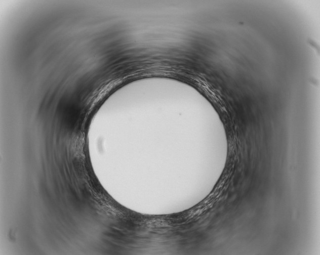 X0000091540146200708171017