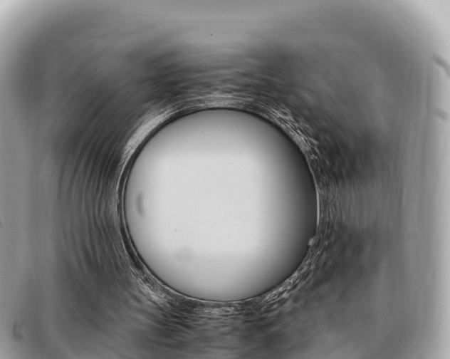 X0000091540147200708171017