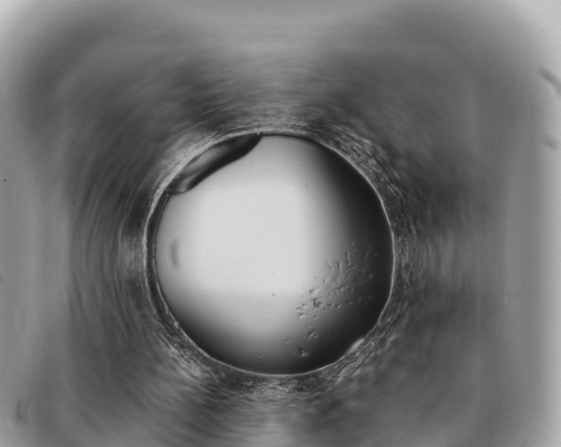 X0000091540148200708171017