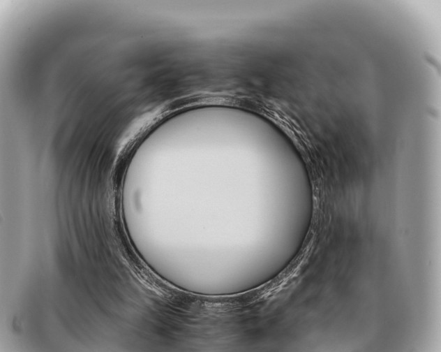 X0000091540149200708171017